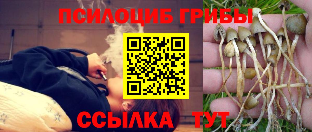 Псилоцибиновые грибы Psilocybine cubensis  продажа наркотиков  Липецк  Вход с VPN 