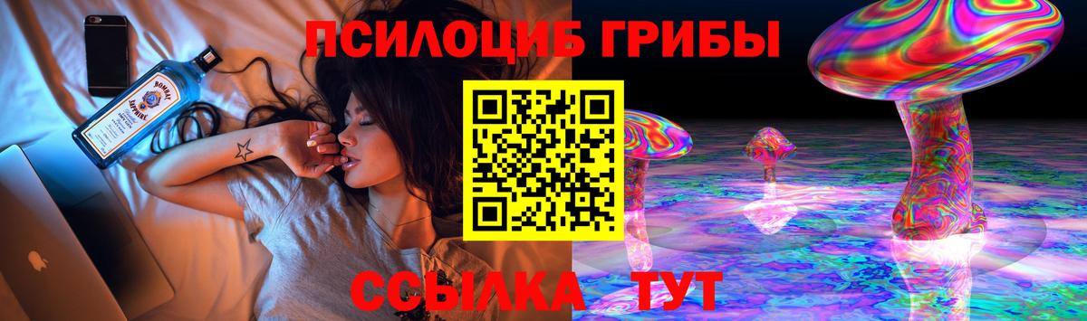 Галлюциногенные грибы Psilocybine cubensis Липецк